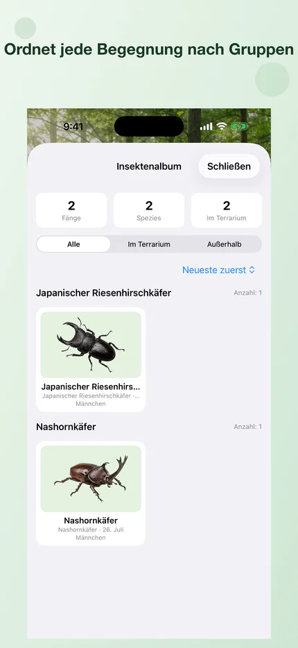 Beobachtete Insekten sind in einer Sammlung nach Gruppen sortiert
