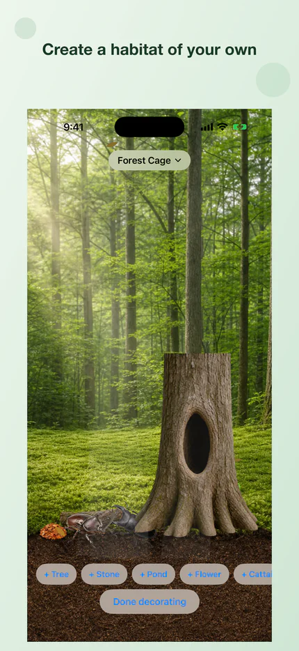 Decorating a transparent green bug habitat