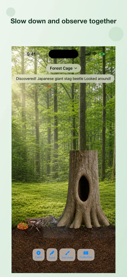 Watching a rhinoceros beetle move around the habitat