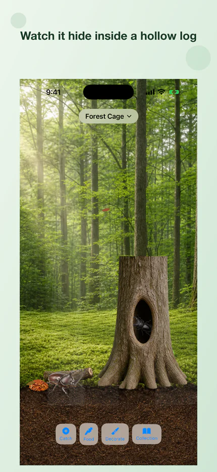 A rhinoceros beetle hiding in a hollow log
