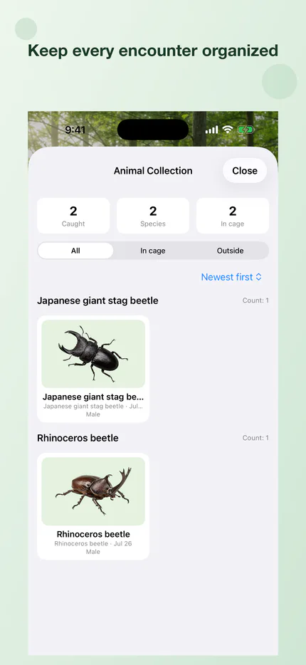 A collection grouping recorded bugs by kind