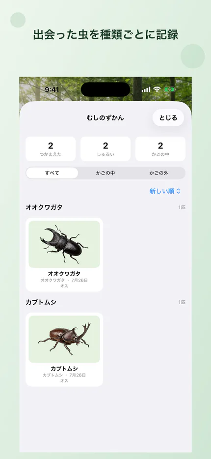 出会った虫を種類ごとに見るコレクション画面
