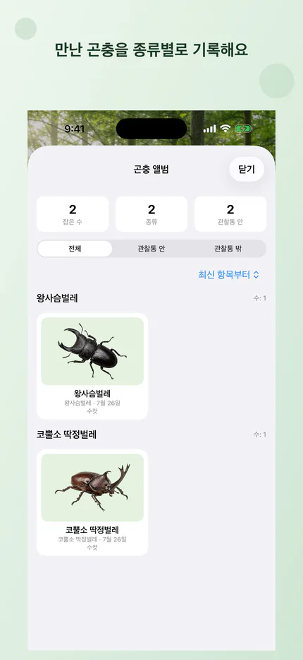 만난 곤충을 종류별로 정리한 컬렉션